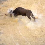 El Toro del Aguardiente 2019 se ha desarrollado sin incidentes y con mucha diversión