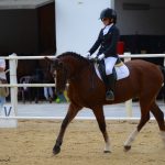 La Viña y Dressage Sotogrande marcan el camino hacia la final de la Copa de Andalucía de Doma