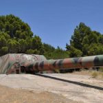 Presentación del proyecto sobre Paloma Alta a cargo del teniente coronel Joaquín de la Cámara
