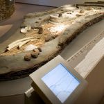 La Junta ofrece recursos digitales para disfrutar de la cultura y el patrimonio andaluz desde casa