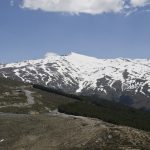 El Espacio Natural Sierra Nevada se reinventa en cuarentena