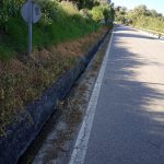 Verdemar denuncia la fumigación ‘indiscriminada’ con herbicidas en San Roque