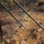 Los vallados cinegéticos en Andalucía incumplen la normativa legal y provocan graves afecciones a la biodiversidad