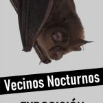 San Roque acogerá una exposición sobre murciélagos del Pinar del Rey