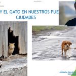 Diputación y el Colegio de Veterinarios celebran el Día Mundial de los Animales