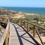 La senda de los gigantes fósiles de Doñana Doñana