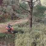 Verdemar muy preocupado por el grave impacto de motos en la finca El Chapatal en Castellar Castellar