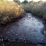 Verdemar Ecologistas en Acción denuncia el estado del Arroyo Negro después de las lluvias