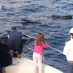 Turismo sostenible en el Campo de Gibraltar ¿sólo una moda?