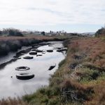 Verdemar denuncia la presencia de gran cantidad de neumáticos en el Paraje Natural del Río Palmones