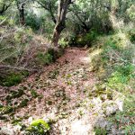 Para Verdemar la gestión del ciclo del agua en el Campo de Gibraltar incumple la Directiva Marco del Agua de la UE.