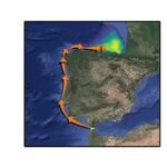 La migración de las orcas ibéricas a aguas del norte de la Península se iniciará en los próximos días