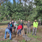 Repoblación de árboles autóctonos en el Corredor Verde del Río Guadarranque y Madrevieja