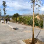 Plantada la segunda remesa de árboles donados por Cepsa, 150 ejemplares de varias especies