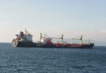 Verdemar pide ‘mano dura’ contra los buques que han provocado el vertido en la Bahía de Algeciras