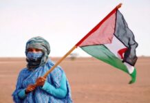 Amigos del Pueblo acusa al Gobierno español de “traicionar al pueblo saharaui de nuevo”