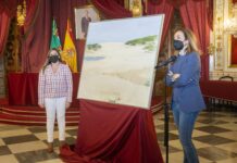 Presentadas las nueve trayectorias ejemplares que serán distinguidas con las Medallas de la Provincia de Cádiz