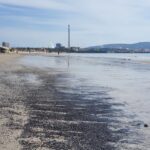 Verdemar denuncia vertidos de carbón en la playa de El Rinconcillo