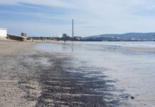 Verdemar denuncia vertidos de carbón en la playa de El Rinconcillo