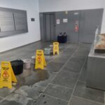 Mellaria denuncia el estado del centro expositivo del conjunto arqueológico de Bolonia