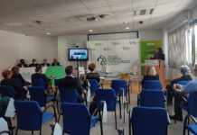 Arranca el segundo Think Tank sobre talento en la provincia en streaming desde Algeciras