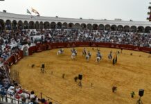 Los caballos andaluces bailaron en el 316 cumpleaños de San Roque