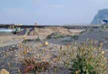 Verdemar pide a Costas que tenga precaución con los trasvases de arena en la duna de la playa en el levante de La Línea