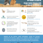 “La Línea Animal”, nuevo evento en el Parque Canino Princesa Sofía