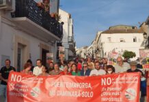 Asociaciones de Puente Mayorga y Verdemar EA presentan alegaciones contra la subestación