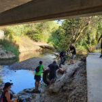 Verdemar y vecinos recogen gran cantidad de bolsas de basuras en el río Pícaro,