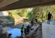 Verdemar y vecinos recogen gran cantidad de bolsas de basuras en el río Pícaro,