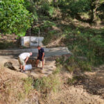 Verdemar instala bebederos para la fauna en el Pinar del Rey, al no llevar agua el arroyo