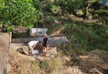 Verdemar instala bebederos para la fauna en el Pinar del Rey, al no llevar agua el arroyo