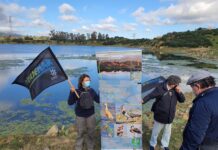 Verdemar va a solicitar que la Laguna de la Huerta de Las Pilas sea «reserva natural».