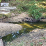 La Plataforma Salvemos el Pinar del Rey se manifestará en el arroyo de La Alhaja