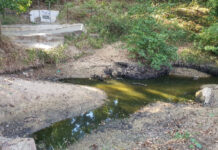 La Plataforma Salvemos el Pinar del Rey se manifestará en el arroyo de La Alhaja