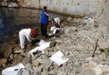 Continúan en Gibraltar los trabajos de limpieza y monitorización de los hidrocarburos