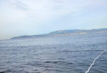 Fotos | Salud y Consumo declara la prohibición de baño en la playa de Poniente de La Línea como consecuencia del vertido