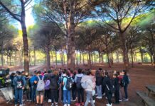 Medio Ambiente organiza rutas micológicas para escolares en el Pinar