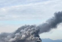 Activado el Plan de Emergencia Exterior del Polígono Industrial de Guadarranque por un incendio declarado en Indorama
