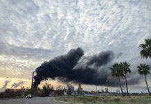 Desactivado el Plan de Emergencia Exterior del Polígono Industrial de Guadarranque por incendio