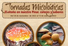 Las V Jornadas Micológicas serán este domingo, 15 de enero