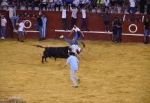 Celebrado el Toro del Aguardiente con mucha participación y sin incidentes graves