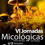 Este domingo, VI Jornadas Micológicas en el Pinar del Rey