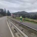 La Junta despeja los márgenes de varias carreteras en la comarca