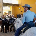 Éxito rotundo de la jornada de puertas abiertas de Yeguada Cartuja Hierro del Bocado