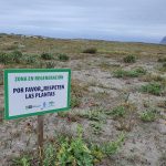 Verdemar presentará sugerencias al proyecto de restauración del sistema dunar de La Línea
