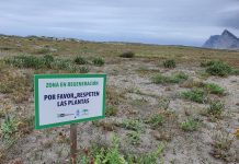 Verdemar presentará sugerencias al proyecto de restauración del sistema dunar de La Línea