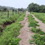 El Corredor Verde Dos Bahías hecho un desastre, en muchos tramos, tras las últimas lluvias