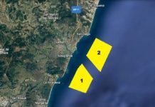 La ‘Plataforma No al Fondeadero’ realiza un análisis crítico de los argumentos y la necesidad de transparencia en el proyecto